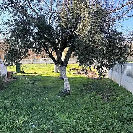 Troya Garden