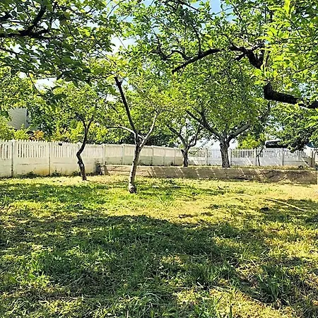 Troya Garden