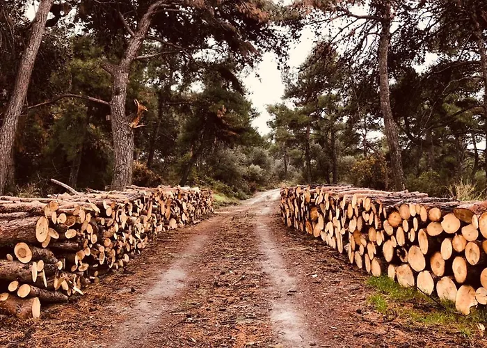 Troya Garden 别墅 *